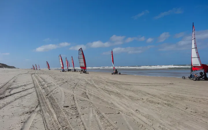 Dagarrangement op Texel 7