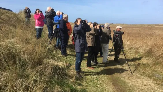 Excursie met een gids in Nationaal Park Duinen van Texel